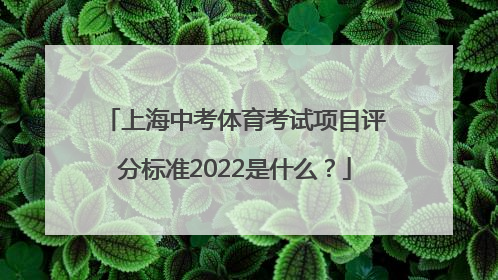上海中考体育考试项目评分标准2022是什么？