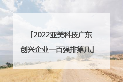 2022亚美科技广东创兴企业一百强排第几