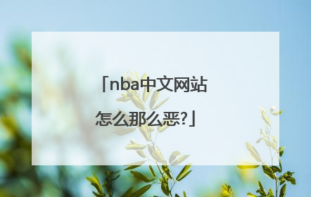 nba中文网站怎么那么恶?