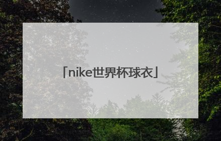 「nike世界杯球衣」NIKE球衣芯片取消了吗
